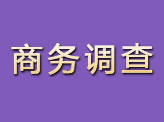 山丹商务调查